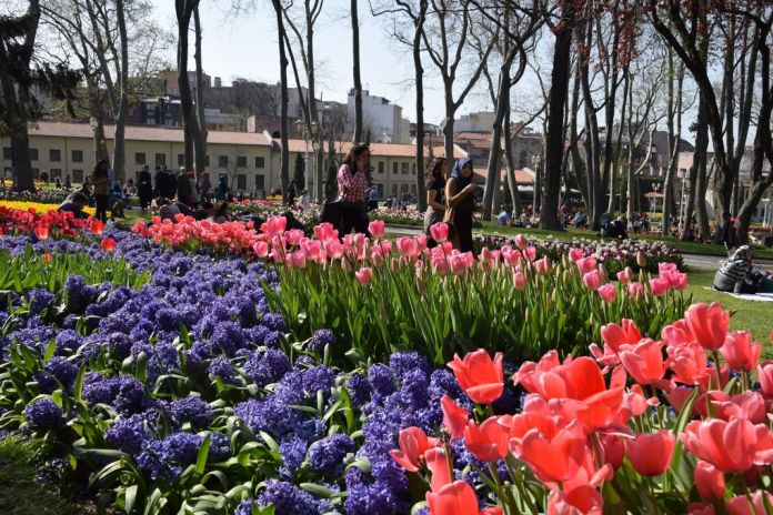 tulipes parc de Gülhane istanbul